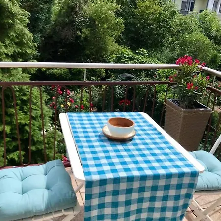 Homy Flat Near Basf/Free Parking/Netflix/Wifi *
