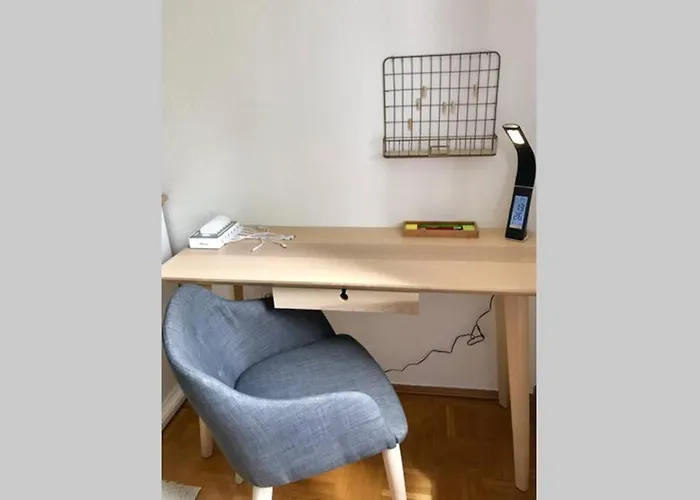 Homy Flat Near Basf/Free Parking/Netflix/Wifi * Ludwigshafen am Rhein