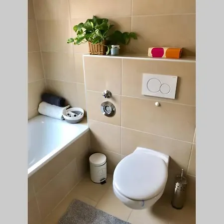 Apartmán Homy Flat Near Basf/Free Parking/Netflix/Wifi *